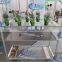 Hot Sale Outdoor Wooden Flower Display Cart