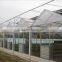 Glass multi-Span agricultural greenhouse for tomato