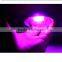 2016 top rated spider 16 high power driver 1200 w cob led grow light,1200w led grow lights
