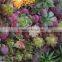 Home and outdoor decoration synthetic cheap artificial vertical green grass succulent wall E08 04C46