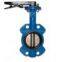 Wafer type butterfly valve