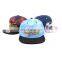 Wholesale 3D embroidery floral sports team hats
