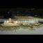 Military Building Scale Models