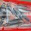 Hot sale fresh frozen bullet tuna bonito fish for export