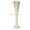 HC-G004 Hot sale medical fetal wooden pinard stethoscope