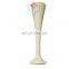 HC-G004 Hot sale medical fetal wooden pinard stethoscope