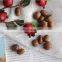 The best seller  acorn nut sheller Oak Seeds Shelling Machine acorn dehulller