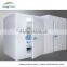 china commercial freezer for fish and chicken