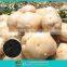 Best based fertilizer for organic food and vegetables