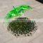 New plastic pvc poe environmental protection printing umbrella
