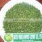 Premium Quality Seaweed Ulva Lactuca Leave