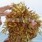 Sargassum seaweed powder used for organic fertilizer