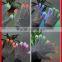 Led Glitter Gloves Supplier From China