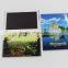 Personalized tin magnet fridge magnets bulk sale from china