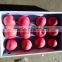 mature natural red apple wholesale fuji apple china with fresh apple price