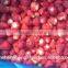 IQF Whole Strawberries