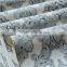 home interiors traditional pattern wallpaper