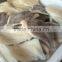 2015 new coming fresh frozen john dory fillet