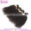 Malaysian afro kinky curly virgin hair hot sells malaysian high quality malaysian curly hair