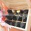 natural hinged divider essential oil storage wooden box