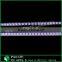 SK6812 led strip 60 pixels