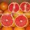 FRESH GRAPEFRUIT