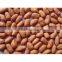 INDIAN JAVA PEANUT KERNEL 60/70 FOR SUPPLY