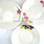 2016 Porcelain egg tray, ceramic egg plates,beautiful ceramic plate ,