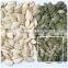 2015 Snow White Pumpkin Seeds and Pumpkin Seeds Kernels for Sale