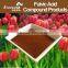 High Quality Fulvic Acid Nutrient Suppliements