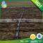 drip pipe as plant watering tool for subsurface irrigation
