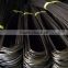 electro galvanized common wire nail/common iron wire nails