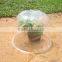 bell plastic garden cloches HX35011-3
