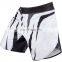 wholesale gym sport shorts polyester plus size mma shorts for men