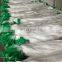Horticulture Netting or Vegetable Support Net