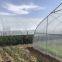 200 Micron UV Treated Greenhouse Film,8m Wide Virgin LDPE Plastic Film