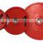 Gym Fitness Body Building Plates Hand-grabbing Colorful Holes Disc Wholesale