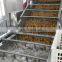 Spinach Tomato Dates Bean Sprout Cleaner Lettuce Pepper Apple Carrot Washing Machine