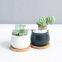 Succulent flower pots black and white round belly-shaped indoor ceramic flower pots