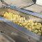Continuous Brush Cassava Potato Washing And Sweet Potato Peeling Machine
