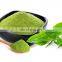 100% Organic Powder lemon leaf from Vietnam