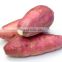Chinese Yam Fresh Sweet Potato