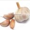 KH 24 Hour Emergency Services garlic cutter