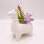 Office Small Ceramics Plastic Green Plants Ornamental Indoor Plants Colorful Animal Korean Succulent Artificial Plant Bonsai