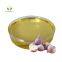 Bulk 100% Pure Organic Garlic Oil Wholesale Price Hair Care Garlic Essential Oil For Hair