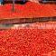Factory Price  tomato paste processing machine Ketchup production line Tomato processing