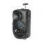 12 Inch Powered Party Dj RGB Light Outdoor Wireless Hifi Super Bass Karaoke Trolley Portable Speaker