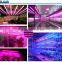 140 Beam angle China Manufacturer led grow light T8 tube made in China factory