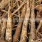 Groundnut/Peanut Washer and Cleaner|Walnut Washing and Cleaning Machine