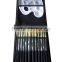 12 Pieces Paint Brush Definition
